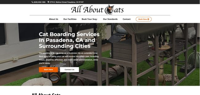 Screenshot of the homepage for All About Cats. Website Design by Pure Media Marketing.